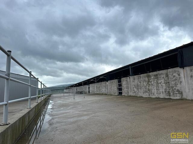 17-GSN GAYRİMENKUL'DEN AVRUPA STANDARTLARINDA RUHSATLI BESİÇİFTLİĞİ